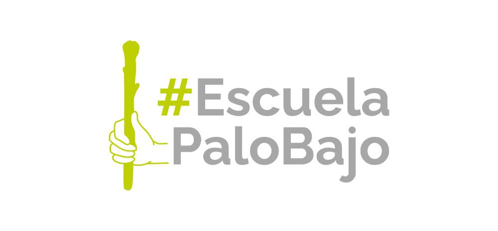 escuela-palo-bajo